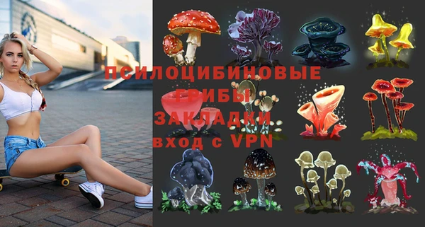 ПСИЛОЦИБИНОВЫЕ ГРИБЫ Карпинск