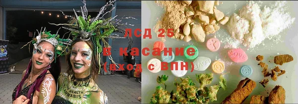 ПСИЛОЦИБИНОВЫЕ ГРИБЫ Карпинск