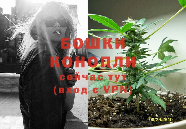 ПСИЛОЦИБИНОВЫЕ ГРИБЫ Карпинск