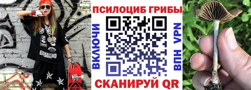 Псилоцибиновые грибы Psilocybine cubensis  Купить  Гурьевск 